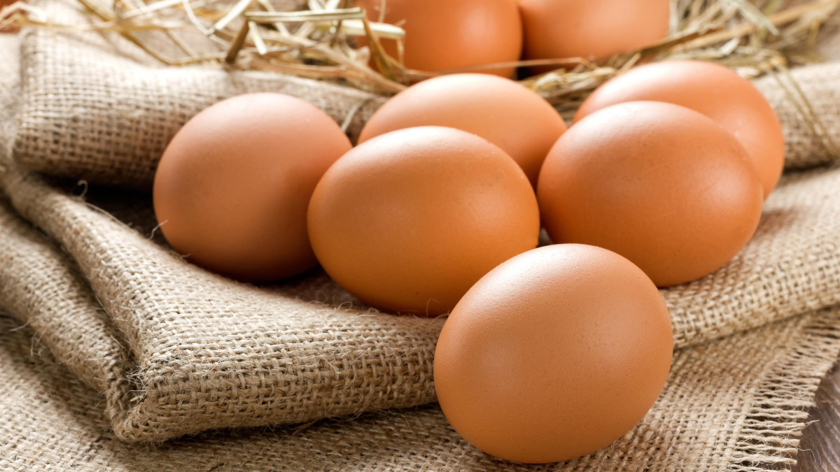 Cuisine: les œufs