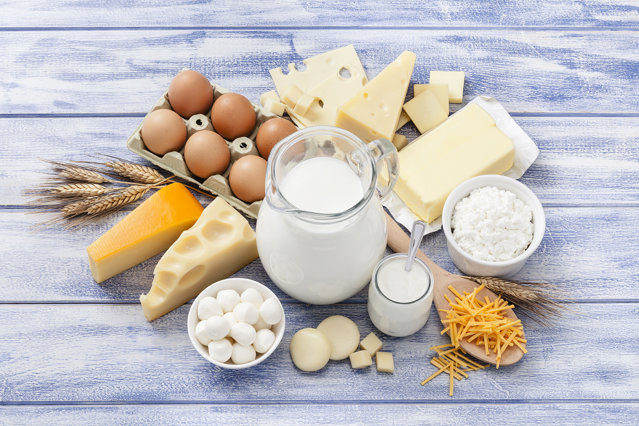 Cuisine: le lait et les produits laitiers