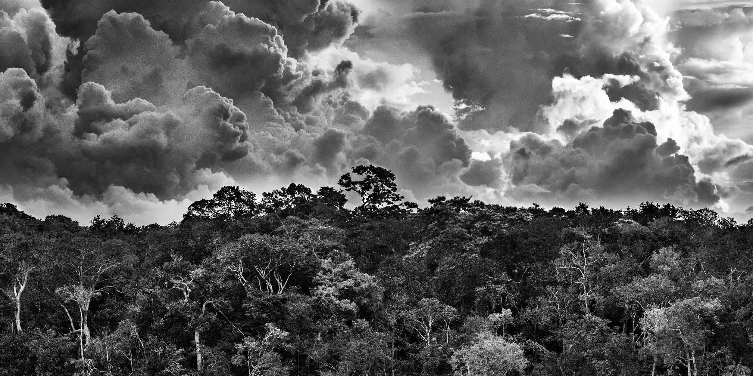 Culture & écologie: l’Amazonie vue par Sebastião Salgado